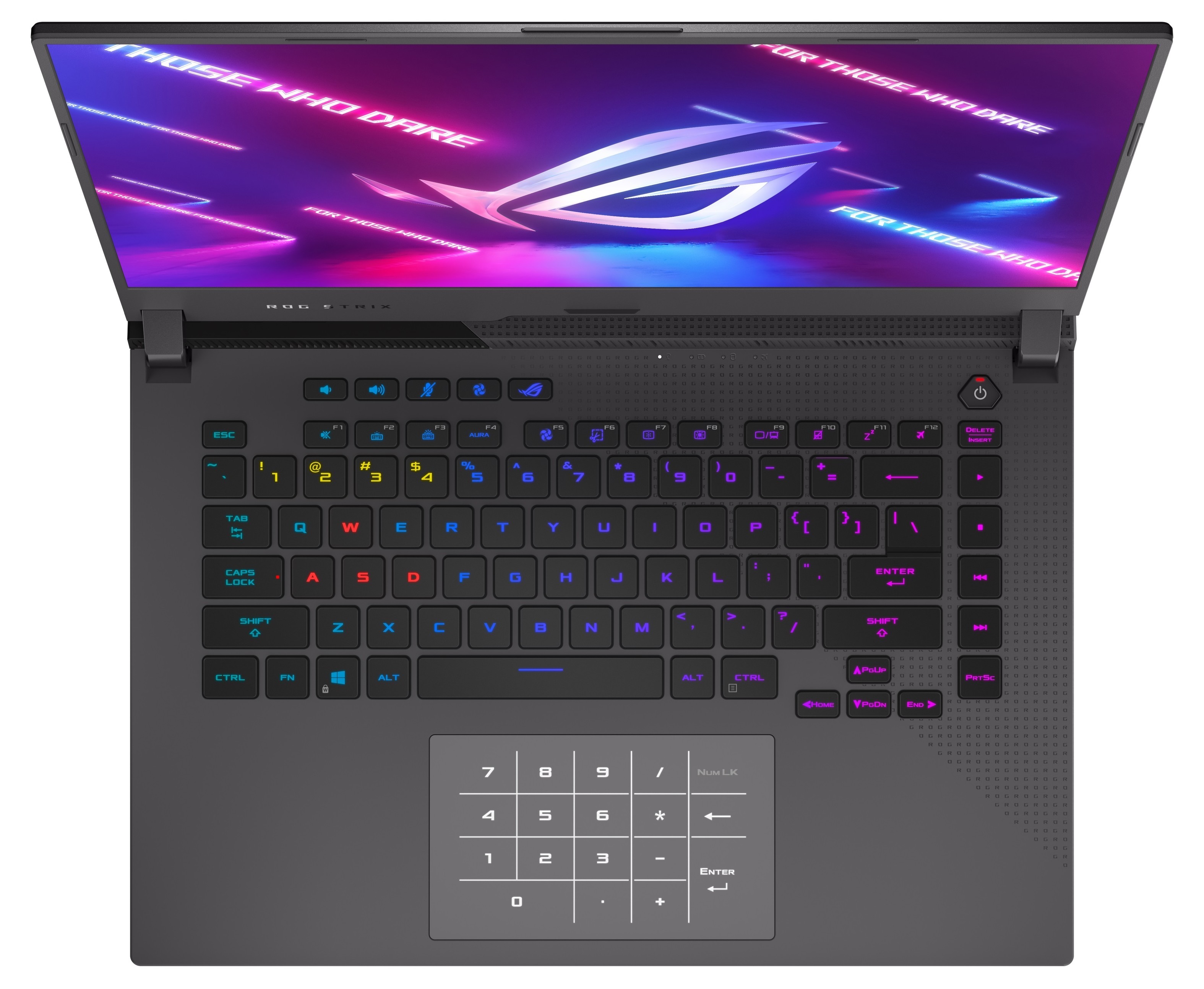 Купить Ноутбук Asus Rog 17.3