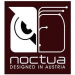 Noctua