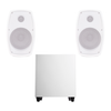 Изображение  Акустический комплект Sky Sound SUBT-10W/MC White, Цвет: белый