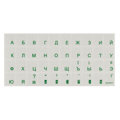 Зображення  Наклейка на клавіатуру Brain STBRTRGREEN