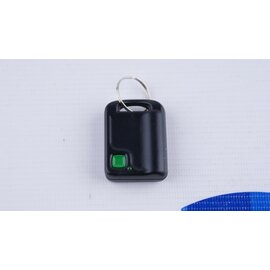 Зображення 2 Брілок Elmes Electronic UMB-100-HT 1 канал