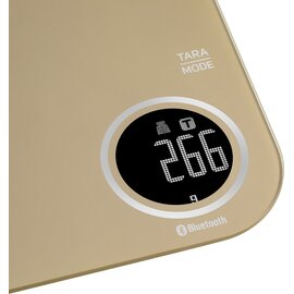 Изображение 5 Бытовые весы Sencor SKS7077CH