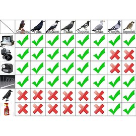 Изображение 3 Шипы от птиц Jacopic (0,5 м) сталь