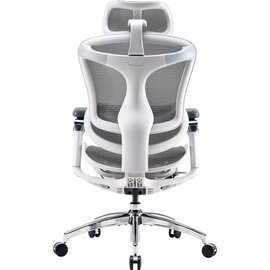 Зображення 2 Крісло Sihoo Doro C300 Pro Mesh White (DORO-C300-PRO-M102)