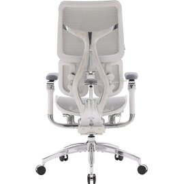 Зображення 2 Крісло Sihoo Doro S100 Mesh Black (S100-M301)