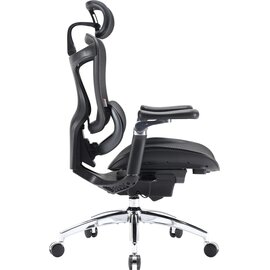 Зображення 3 Крісло Sihoo Doro C300 Pro Mesh Black (DORO-C300-PRO-M101)