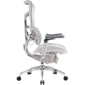 Зображення 3 Крісло Sihoo Doro S100 Mesh Black (S100-M301)