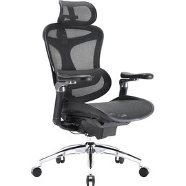 Зображення 4 Крісло Sihoo Doro C300 Pro Mesh Black (DORO-C300-PRO-M101)