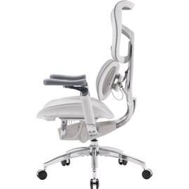 Зображення 4 Крісло Sihoo Doro S100 Mesh Black (S100-M301)