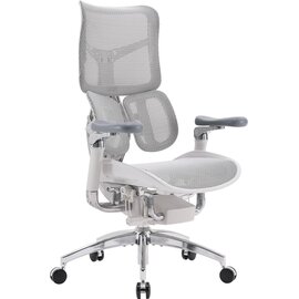 Зображення 5 Крісло Sihoo Doro S100 Mesh Black (S100-M301)