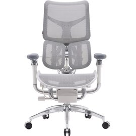 Зображення  Крісло Sihoo Doro S100 Mesh Black (S100-M301)