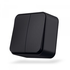 Зображення  Вимикач Videx Binera Black Graphite (VF-BNS12-BG) двоклавішний-канальний
