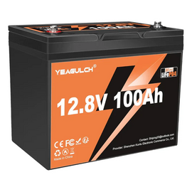 Зображення  Lifepo4 акумулятор Yeagulch Mini LiFePO4, 12.8V 100Ah