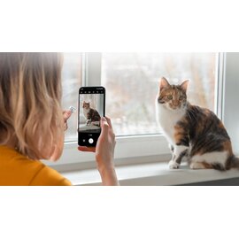 Изображение 5 Карта памяти Samsung Evo Plus microSDXC 64GB UHS-I/U3 Class 10 + SD-адаптер - MB-MC64SA/EU