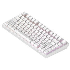 Зображення 5 Клавіатура Dark Project ALU81 Terra Nostra White (DPKB_NOSTRA_81_ANSI_WHITE_UA)