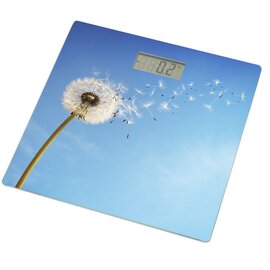 Изображение  Весы  Grunhelm BES-BLB