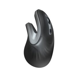 Изображение  Мышь Trust Verro Ergonomic WL — 23507