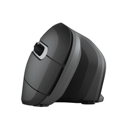 Изображение 5 Мышь Trust Verro Ergonomic WL — 23507