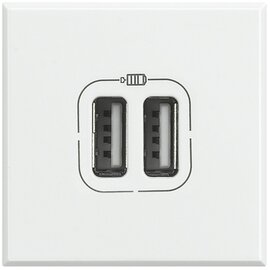 Изображение  Розетка Bticino Axolute HD4285C2 2-портовая