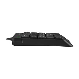 Изображение 2 Клавиатура A4Tech FK13P USB Black