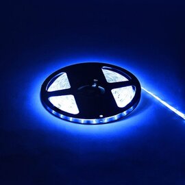 Зображення  Світлодіодна LED стрічка Horoz Electric Ren 12V IP65 Blue