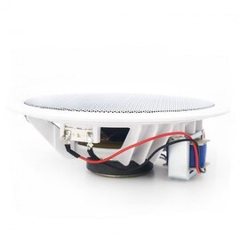 Изображение 2 Громкоговоритель Sky Sound S-2631W/TW внутренний