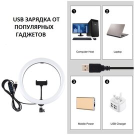 Зображення 3 Студійне освітлення Puluz PKT3061B
