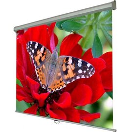 Изображение  Экран для проектора Walfix SNM-1