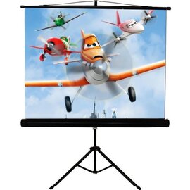 Изображение  Экран для проектора Walfix SNT-1