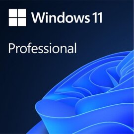 Изображение 2 Операционная система Microsoft Windows 11 Professional 64Bit Eng Intl 1ПК DSP OEI DVD &ndash; FQC-10528