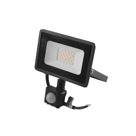 Зображення  Світлодіодний прожектор Ledua 30W SMD 6000К