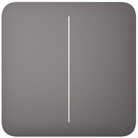 Изображение  Смарт кнопка Ajax SoloButton 2-gang Grey, Цвет: серый