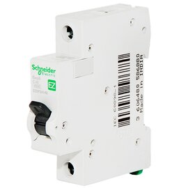 Зображення  Автоматичний вимикач Schneider Electric EZ9 1Р 40А (4.5кА), Номінальний струм: 40А
