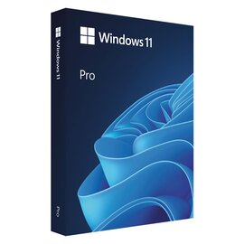 Изображение  Microsoft Windows 11 Pro eng, FPP, USB - HAV-00164