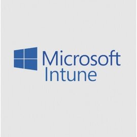 Изображение  Microsoft Intune Storage Add-on P1Y Annual License - CFQ7TTC0LCH4_0006_P1Y_A
