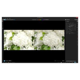 Изображение 2 Графическое ПО Corel AfterShot Pro 3 ML EN/DE Windows/Mac/Linux - ESDASP3MLPC