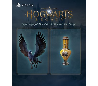 Зображення 12 Гра Hogwarts Legacy, BD диск - 5051895413425