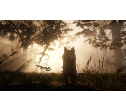Зображення 13 Гра Red Dead Redemption 2, BD диск - 5026555423052