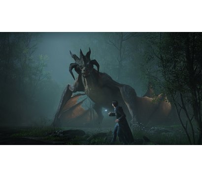 Зображення 3 Гра Hogwarts Legacy, BD диск - 5051895413425