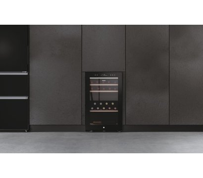 Изображение 2 Холодильник Haier HWS42GDAU1