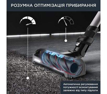 Изображение 7 Пылесос Rowenta RH9958WA