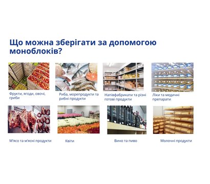 Зображення 3 Холодильник Snaige SGL014P