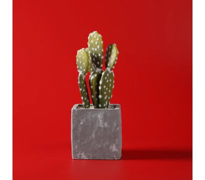 Зображення 4 Фон для фото Visico PVC-1220 Red (120x200см)