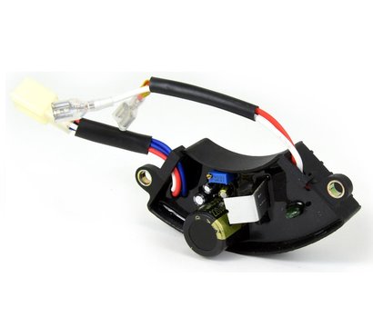 Зображення 2 АВР Bison AVR BS12000DCE