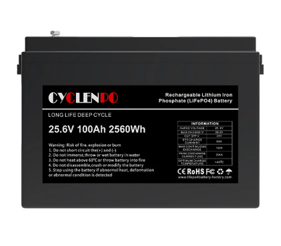 Изображение 2 Lifepo4 аккумулятор Cyclen LiFePo4, 25.6V 100Ah