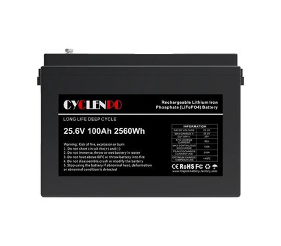Зображення 3 Інвертор гібридний Megarevo 05KL1D + Cyclen LiFePo4, 25.6V 100Ah