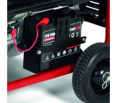 Зображення 4 Бензиновий генератор Einhell TC-PG 8000