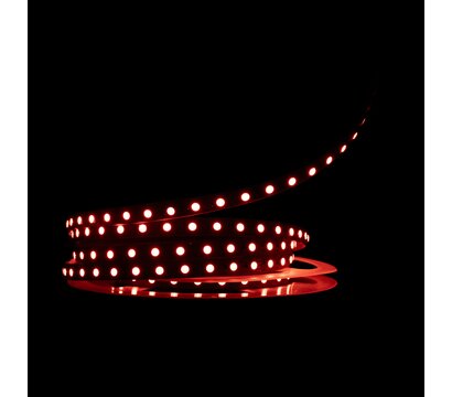 Зображення 3 Світлодіодна LED стрічка Prolum S 3535-96 IP20 12V, RGB