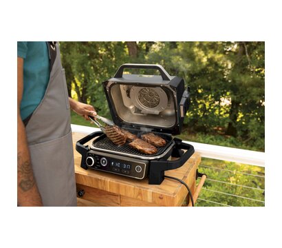 Изображение 5 Гриль-барбекю Ninja Woodfire OG701EU