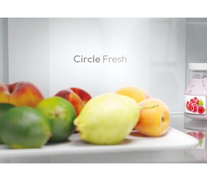 Изображение 3 Холодильник Candy ECN2CQTEB186